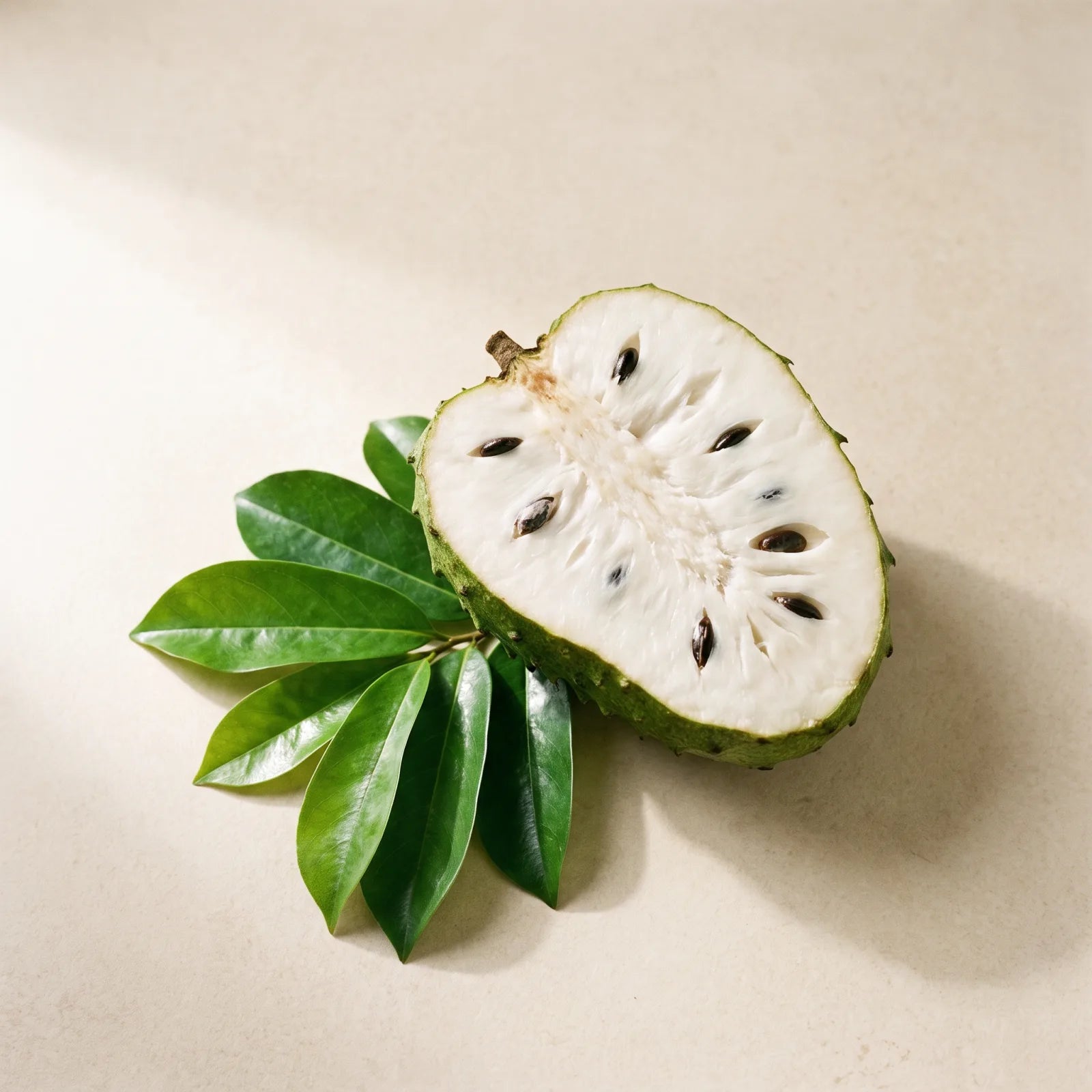 Soursop Leaf